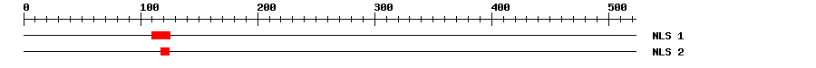 NLS