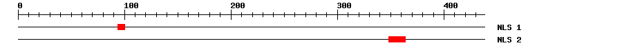 NLS