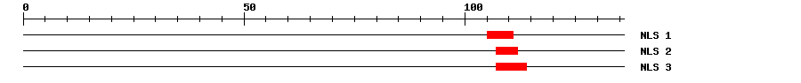 NLS