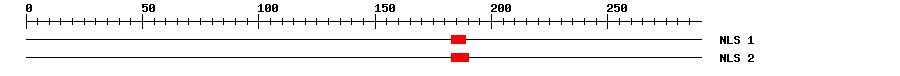 NLS