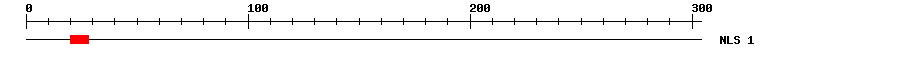 NLS