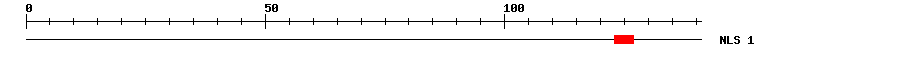 NLS