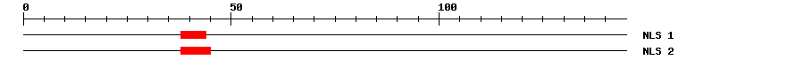 NLS