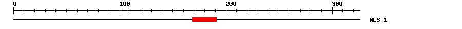 NLS