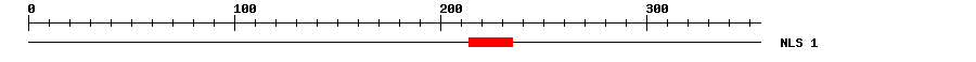 NLS