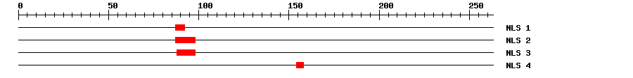 NLS