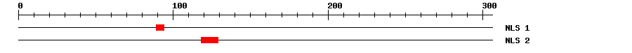 NLS