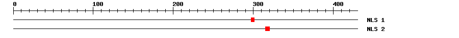 NLS