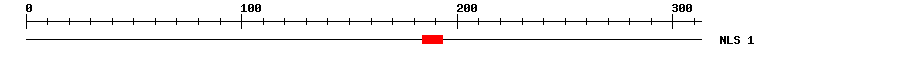 NLS