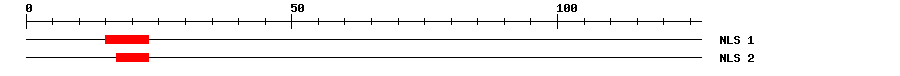 NLS