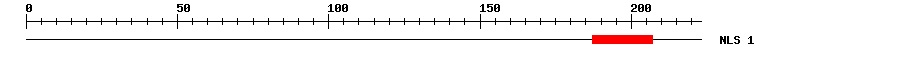 NLS