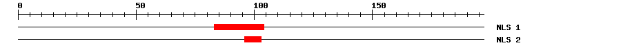NLS