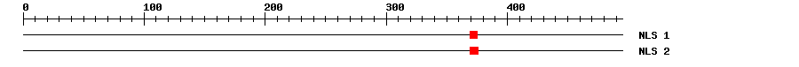 NLS