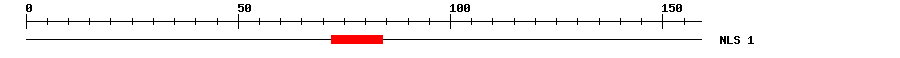 NLS