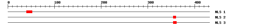 NLS