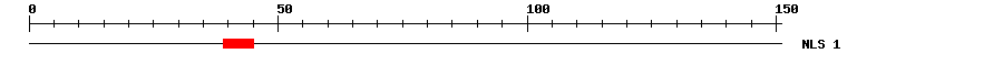 NLS