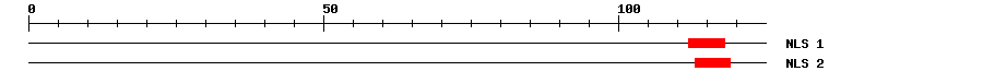 NLS