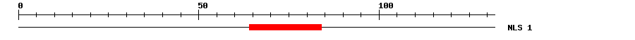 NLS