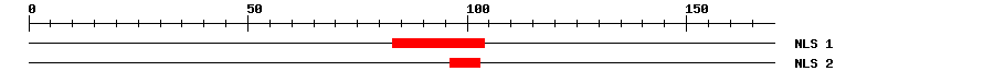 NLS