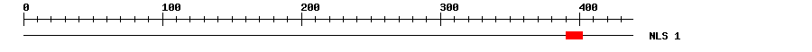 NLS