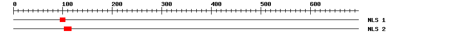 NLS