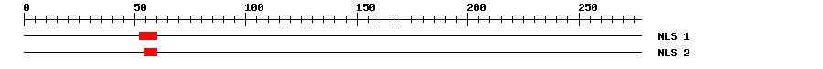 NLS