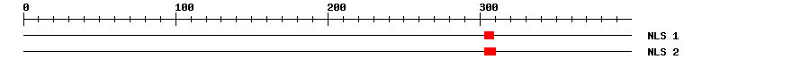 NLS