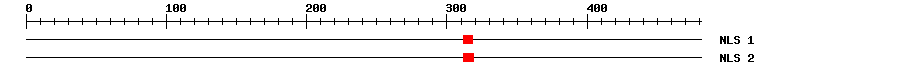 NLS