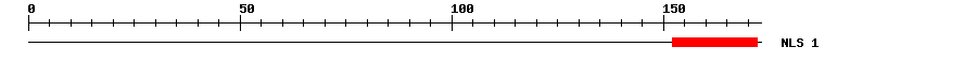 NLS