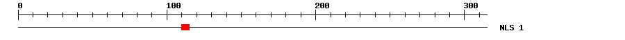 NLS