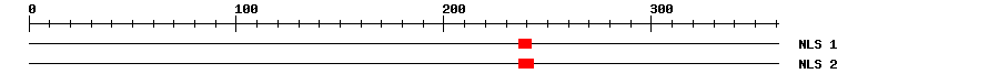 NLS