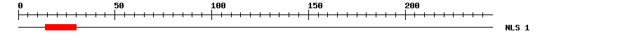 NLS