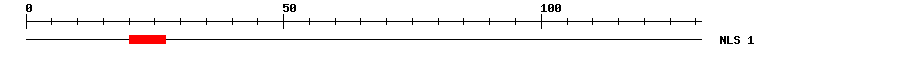 NLS