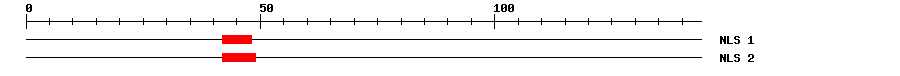 NLS