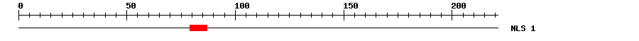 NLS