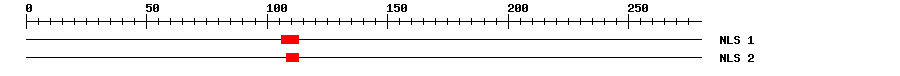 NLS