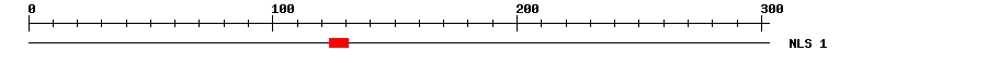 NLS