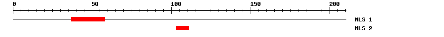 NLS