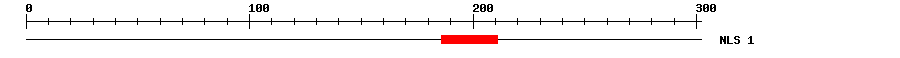 NLS