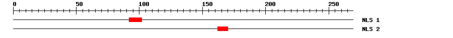 NLS