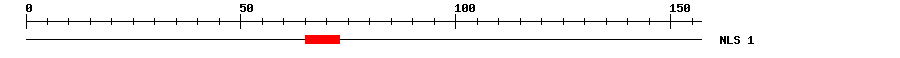 NLS