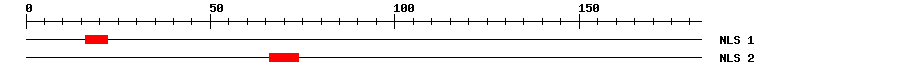 NLS