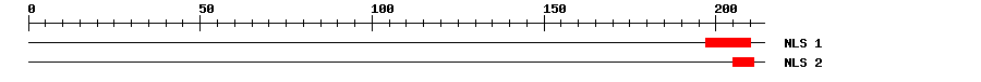 NLS