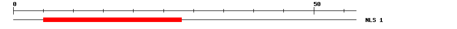 NLS