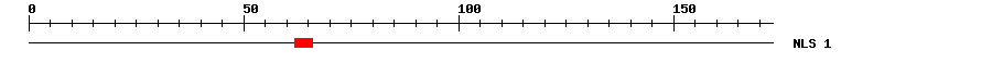 NLS