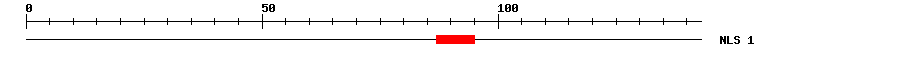 NLS