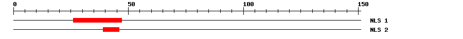 NLS