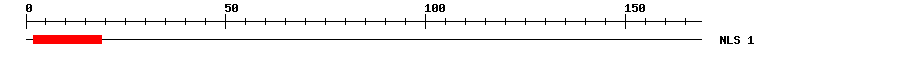 NLS