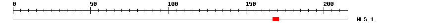 NLS