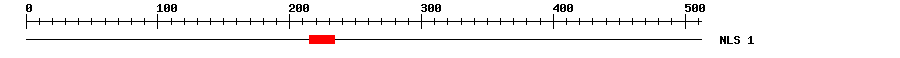 NLS